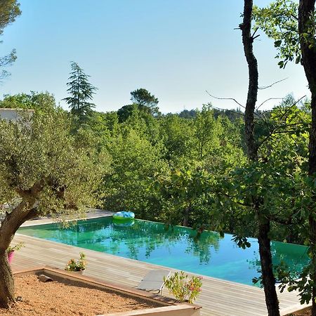 Sous Les Oliviers - Piscine Chauffee - Studios De Standing Tout-Equipes Saint-Maximin Esterno foto