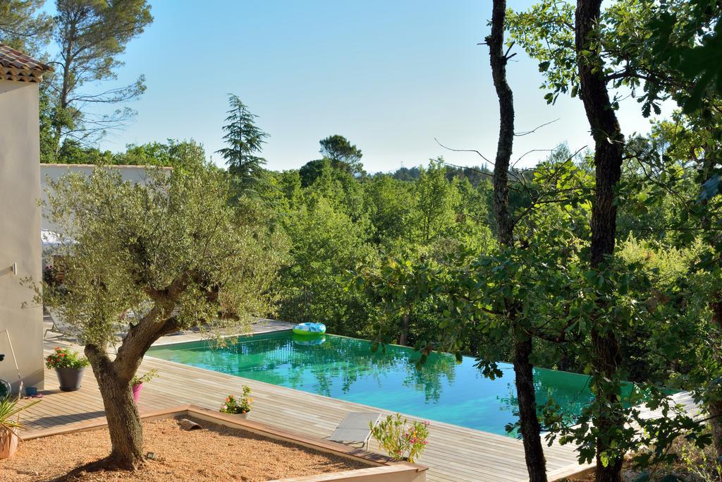 Sous Les Oliviers - Piscine Chauffee - Studios De Standing Tout-Equipes Saint-Maximin Esterno foto