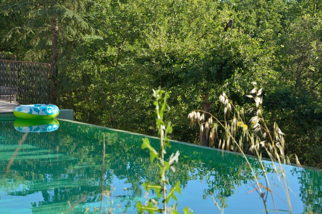 Sous Les Oliviers - Piscine Chauffee - Studios De Standing Tout-Equipes Saint-Maximin Esterno foto