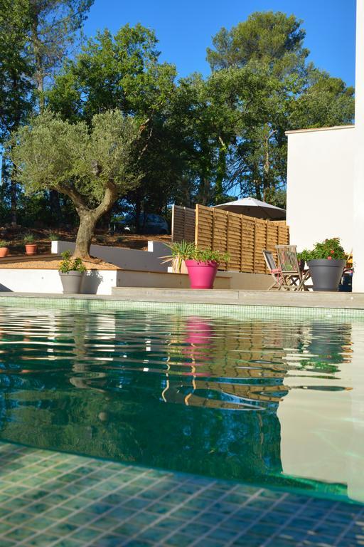 Sous Les Oliviers - Piscine Chauffee - Studios De Standing Tout-Equipes Saint-Maximin Esterno foto