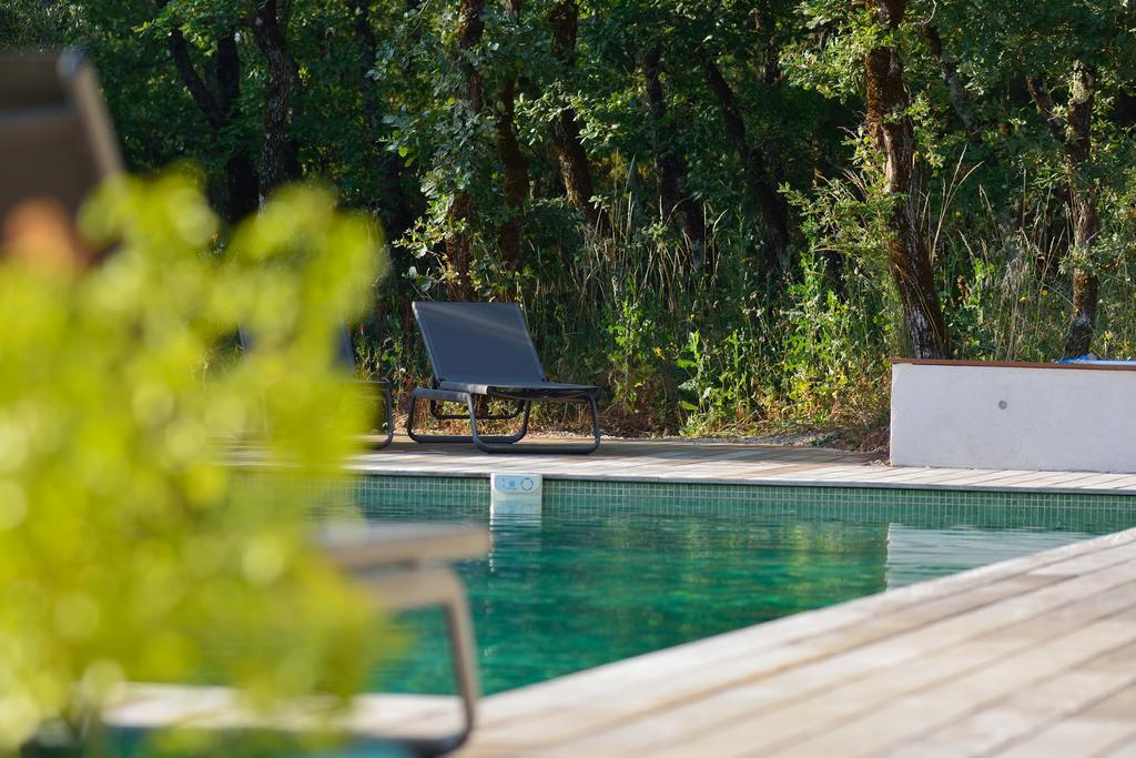 Sous Les Oliviers - Piscine Chauffee - Studios De Standing Tout-Equipes Saint-Maximin Esterno foto
