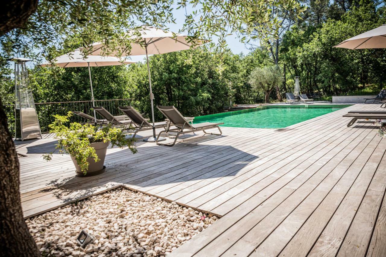 Sous Les Oliviers - Piscine Chauffee - Studios De Standing Tout-Equipes Saint-Maximin Esterno foto